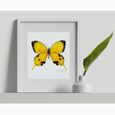 Butterfly project Yellow