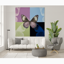 Butterfly project Plexi I