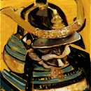 Samurai armor