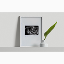 Χωρίς τίτλο