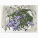 "Flowers"