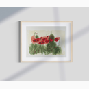 "Red Poppies"