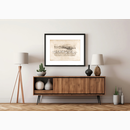 Τα άγρια άλογα της …