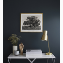 Βασιλική δρυς