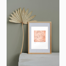 Η κολυμβήτρια του φεγγαριού και τρία ψάρια