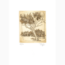 Χαλκογραφία Ράμμος Κωνσταντίνος 9x10