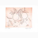 Χαλκογραφία Σάμιος Παύλος 9x10