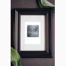 Χαλκογραφία Διονάς Βαγγέλης 9x10