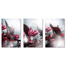 Drops of Happiness Trilogy