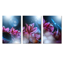 Sparkling Vision Trilogy