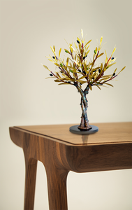 Olive tree of love