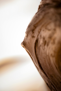 The Breast