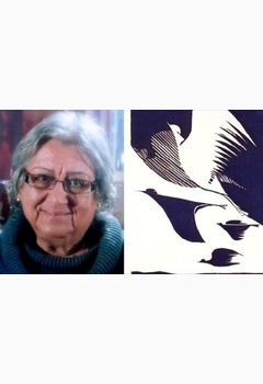 Κομιανού Άρια