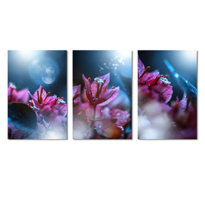 Sparkling Vision Trilogy