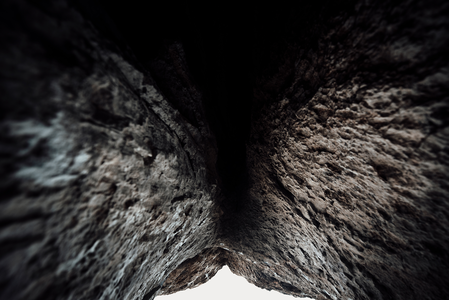 Looking Up
