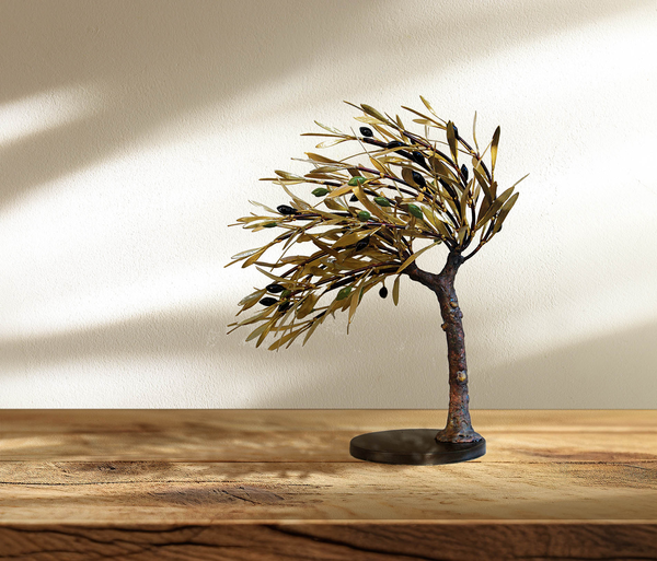 Windswept olive tree