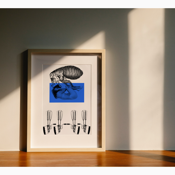 “White on Blue”