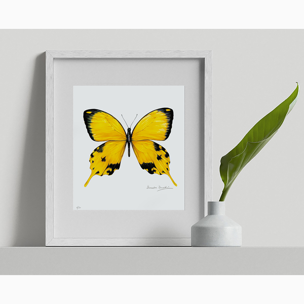 Butterfly project Yellow