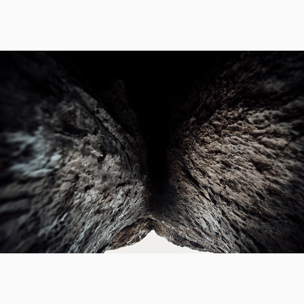 Looking Up