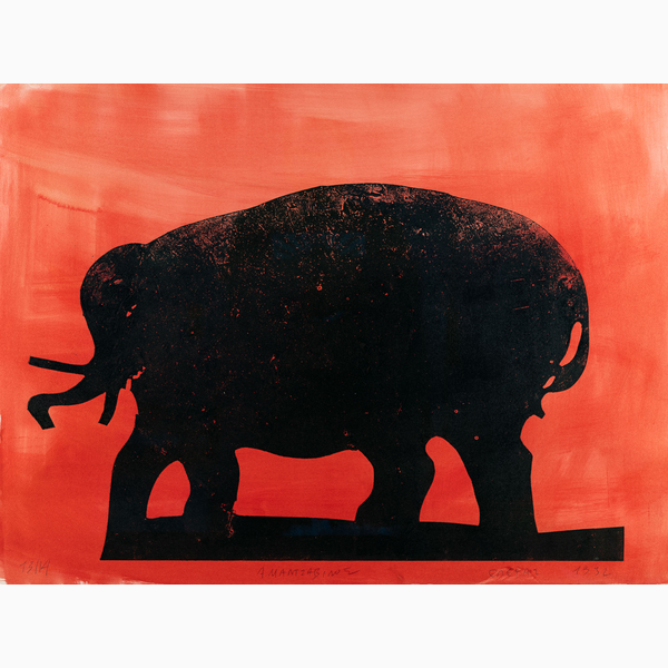 Elephant