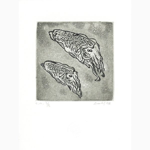 Tzortzinis copper engraving