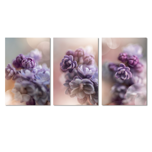 Blooming Trilogy