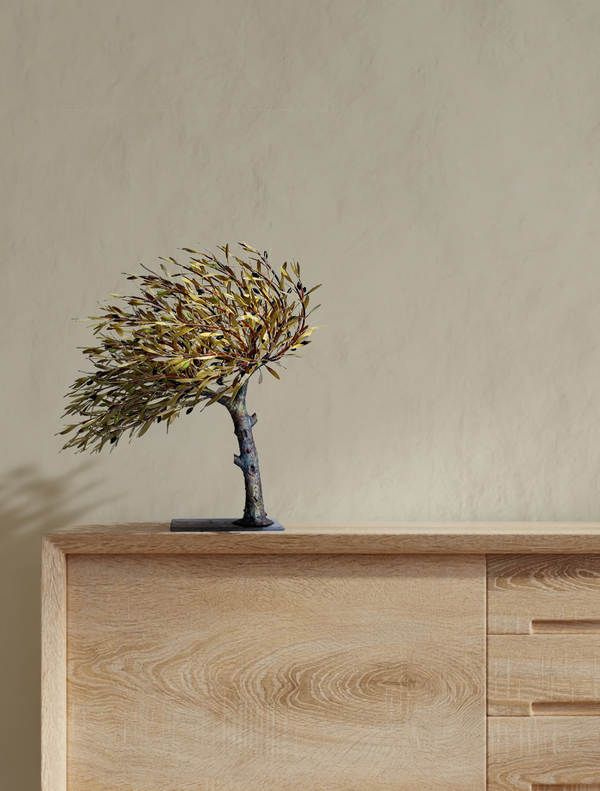 Windswept olive tree