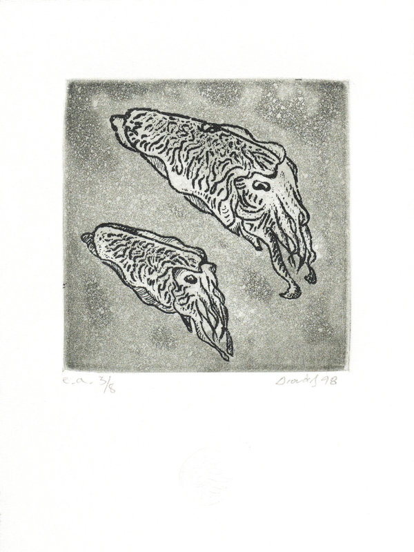 Tzortzinis copper engraving