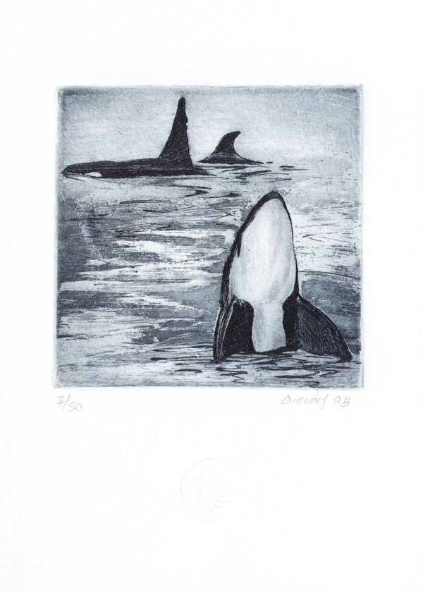 Χαλκογραφία Διονάς Βαγγέλης 9x10